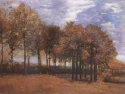 Vincent Van Gogh Autumn Landscape (nn04) oil painting